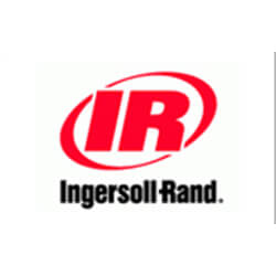 Digital Business Card