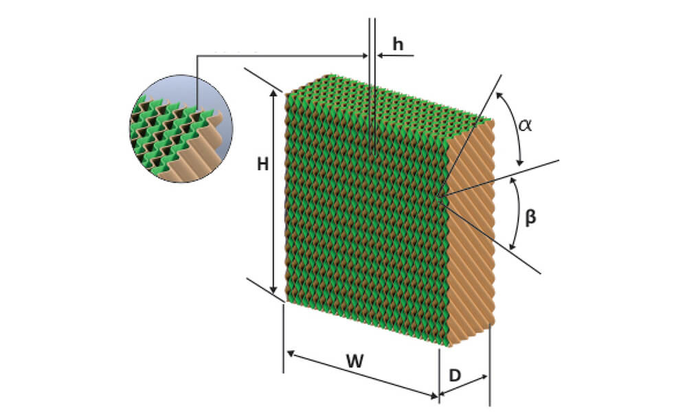 Digital Business Card